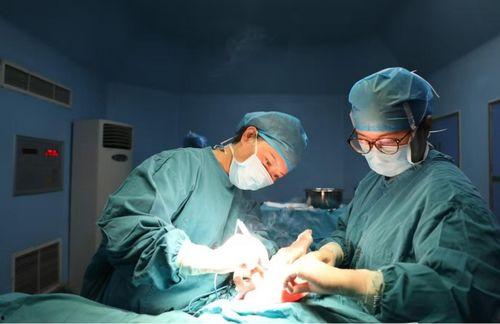 切胸手术视频,专业视角下的医学奇迹