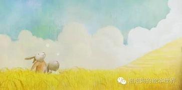 秋天的故事视频,落叶与回忆的交织之旅