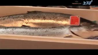 三文鱼分解视频教程