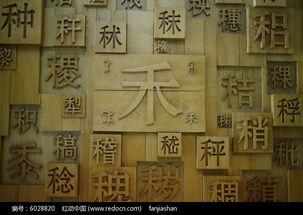 木刻字视频,传统技艺在现代视觉传达中的魅力展现