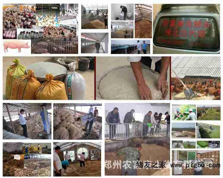 农富康视频,揭秘现代农业科技助力乡村振兴之路