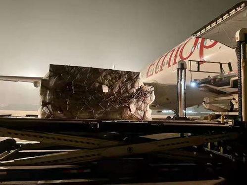 刚果布视频,非洲心脏地带的多元文化之旅