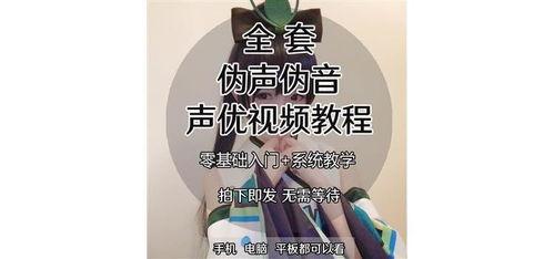 伪音视频,揭秘伪音视频的神奇魅力