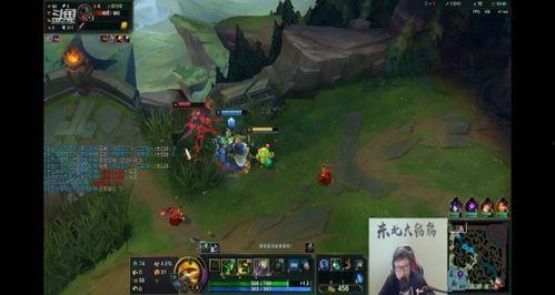 东北采蘑菇视频